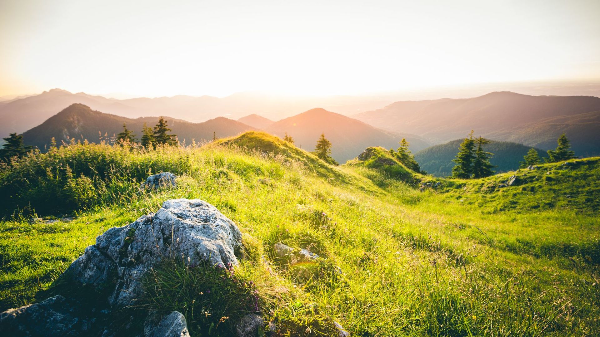 Sonnenuntergang über grünen Hügeln mit einzelnen Felsen und Nadelbäumen im Bergpanorama.